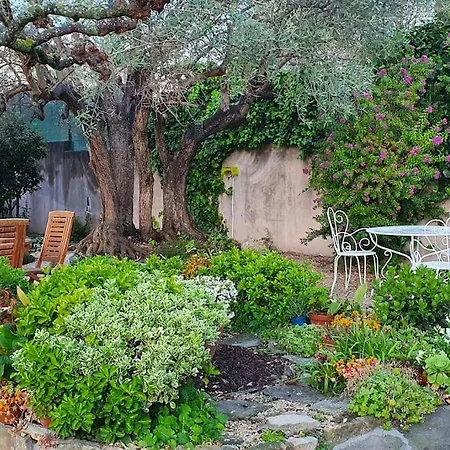 Apartment Two Bedroom Garden Parking Near Beaches