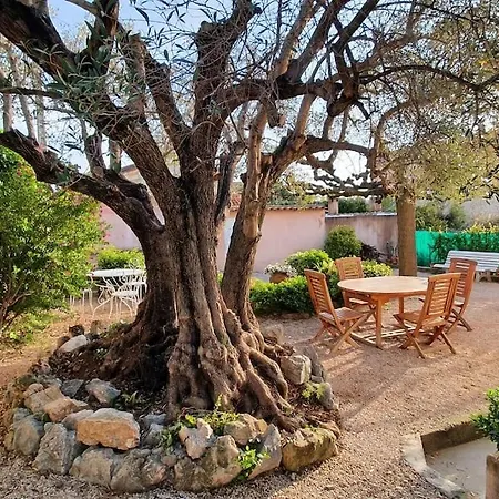 Two Bedroom Garden Parking Near Beaches アパート *